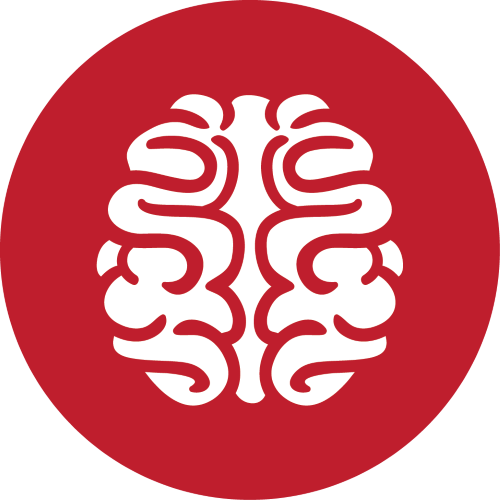 Brainasium Solutions LLC Logo